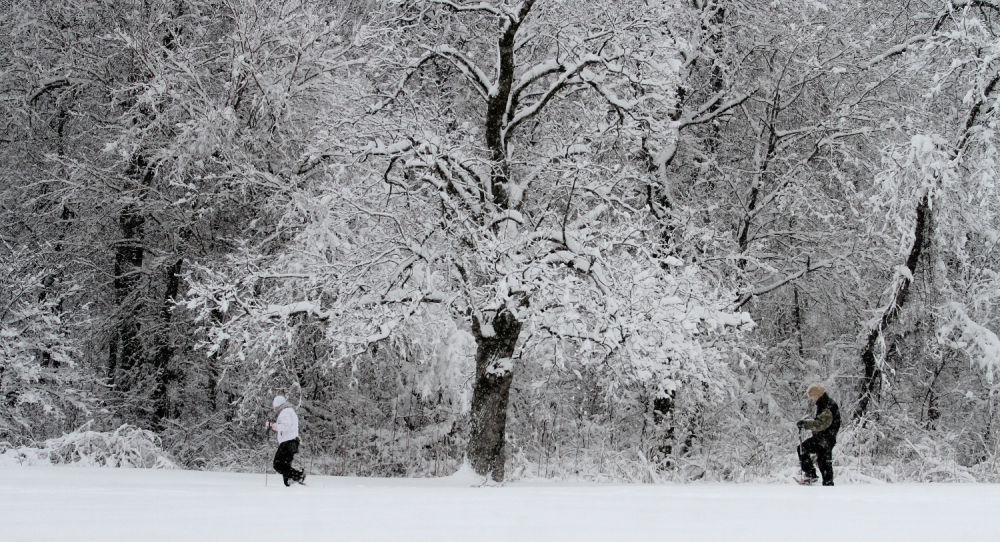 020115-snowstorm02